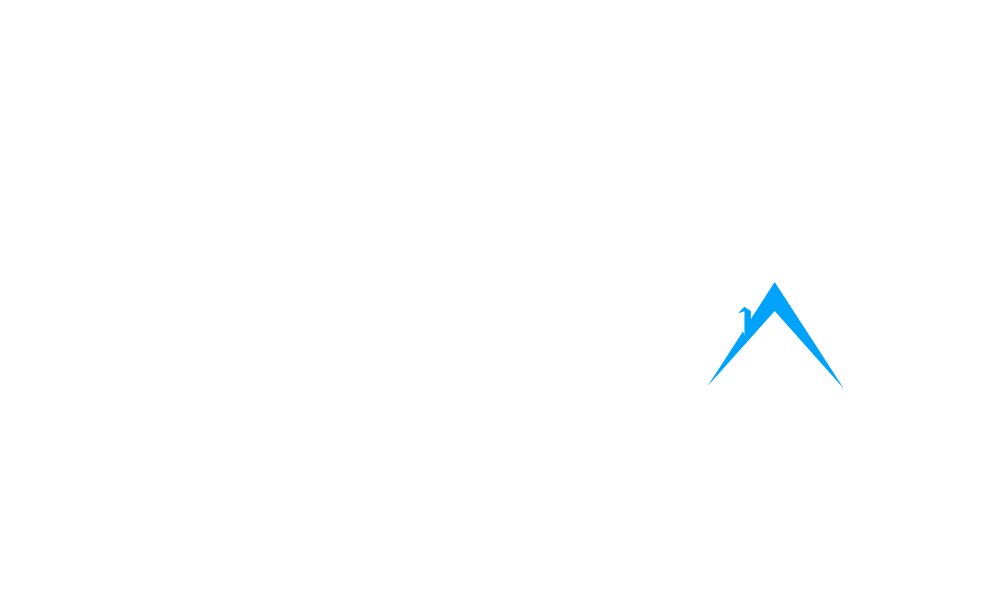 Dubai Invest Pro
